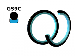 GS9C