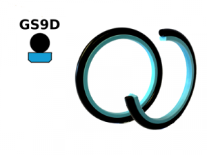 GS9D