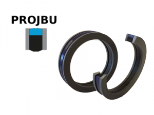 PROJBU_1