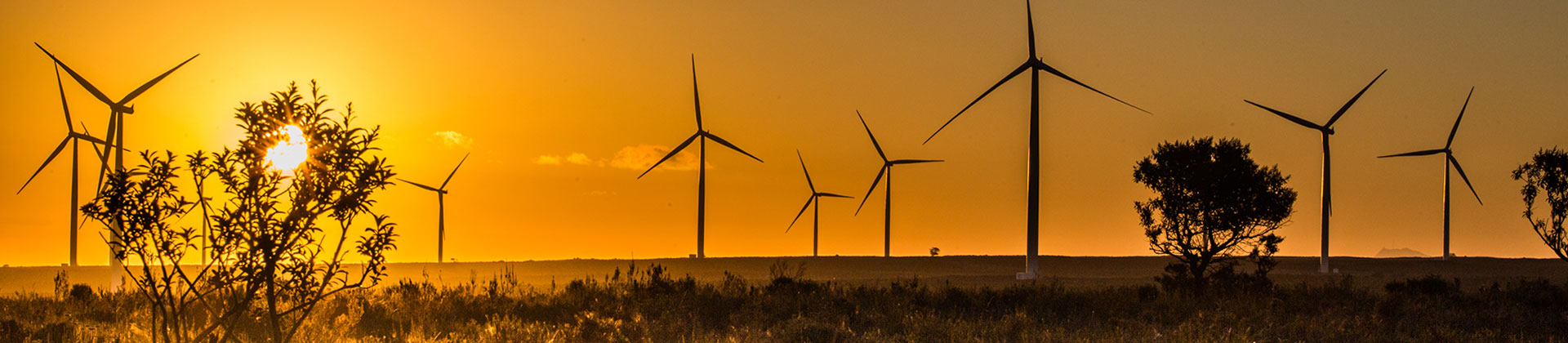 Wind Energy