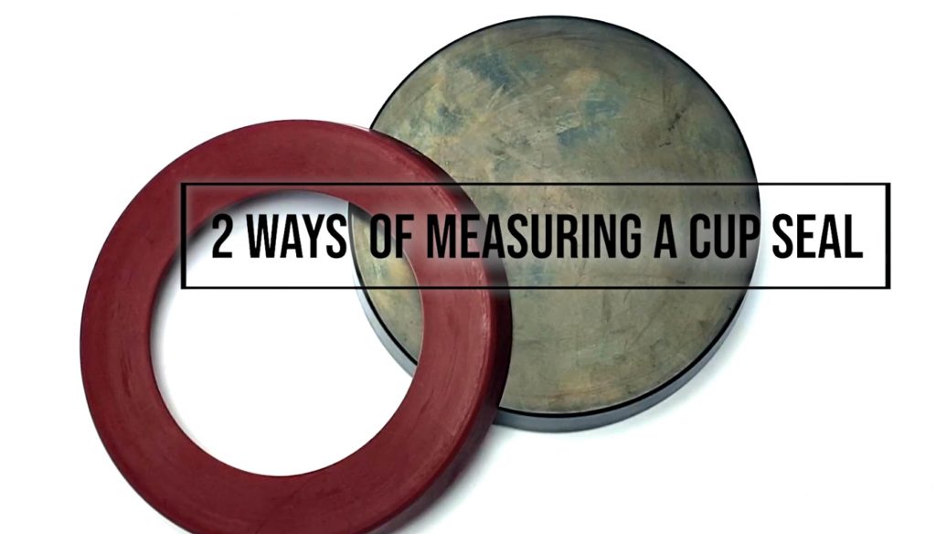 2 Ways of How to Measure a Cup Seal